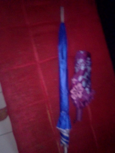 Payung Lipat 2 Kembang Bunga - L2003