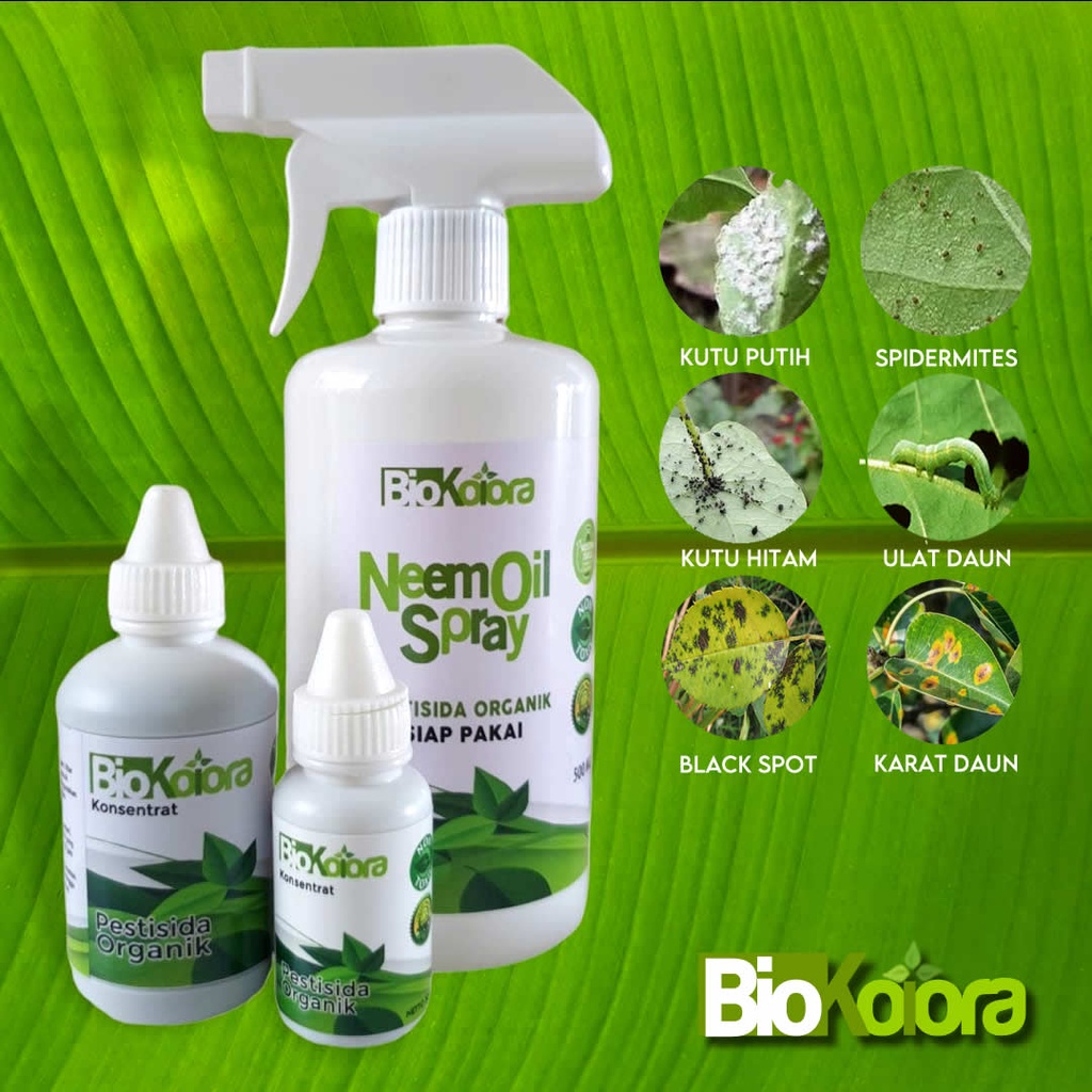 Pestisida Organik Kutu Putih | Pestisida Nabati Neem Oil Fungisida Alami Untuk Tanaman