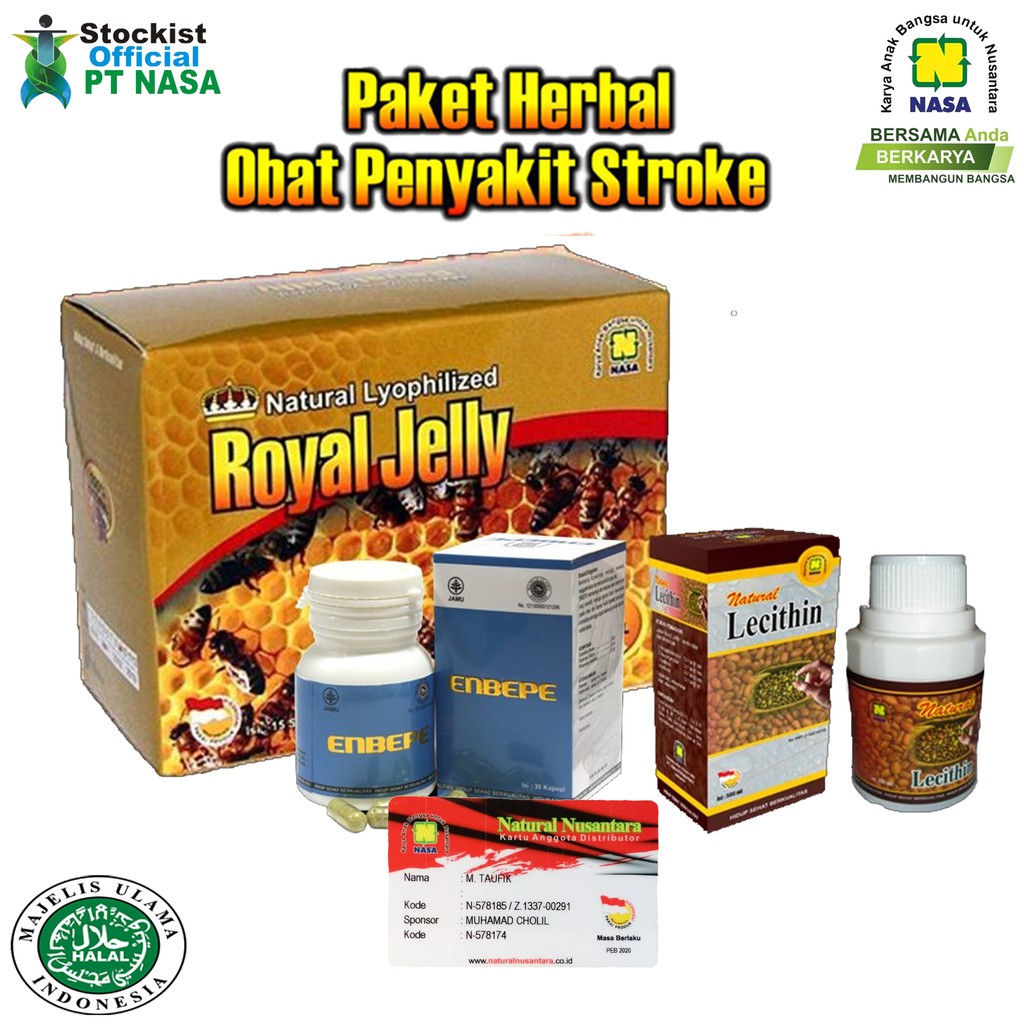 Paket Obat Stroke Asli Original NASA /Stockist Official PT Nasa
