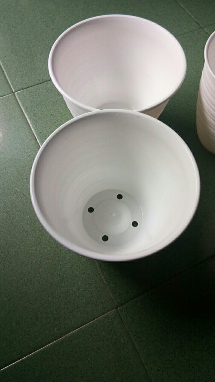 Ori 100% Pot Tawon - 18 Cm Asli Budi Jaya Bjp Bunga Pupuk Daun Benih Bibit #dirumahaja