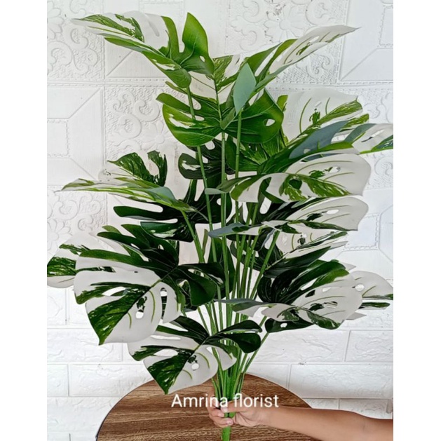 tanaman hias plastik monstera variegata//monstera artivicial murah