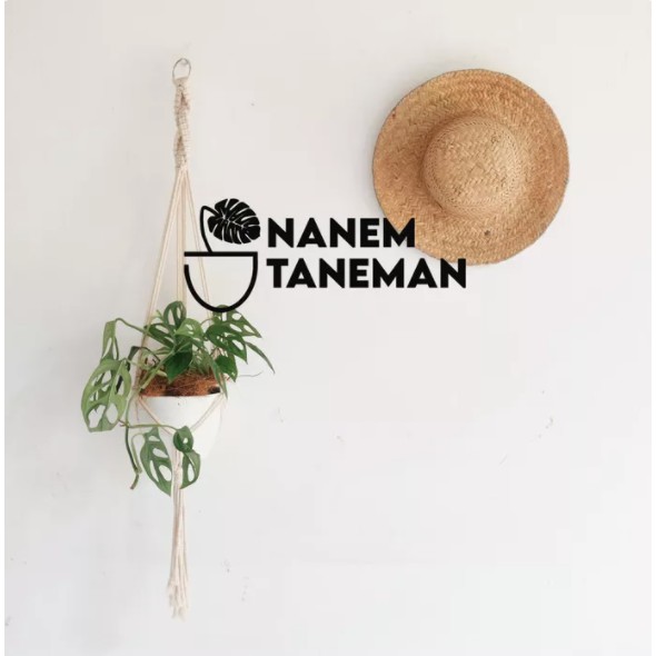 Nanem Taneman - Hanging Planter Macrame - Cotton Asli - Gratis Pot dan Tanaman Janda Bolong (1 paket)