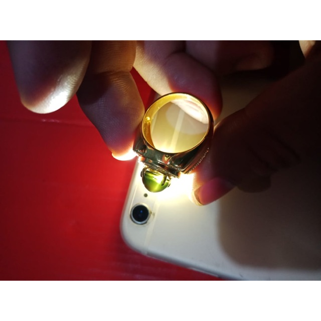 Bangsing biru partawijaya