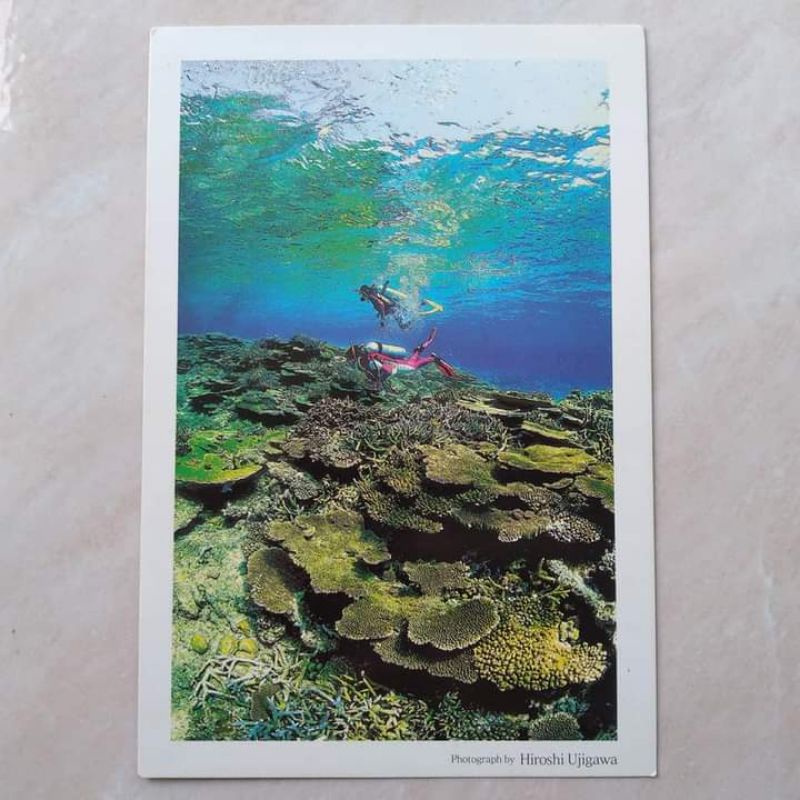 

Kartu Pos Kuno Jadul Ocean Coral tahun 1990-an