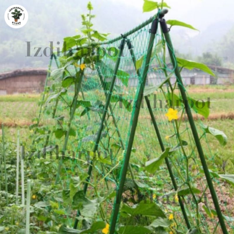 JARING RAMBATAN TANAMAN PLANT CLIMBING NET 1,8 METER - JARING RAMBATAN TANAMAN