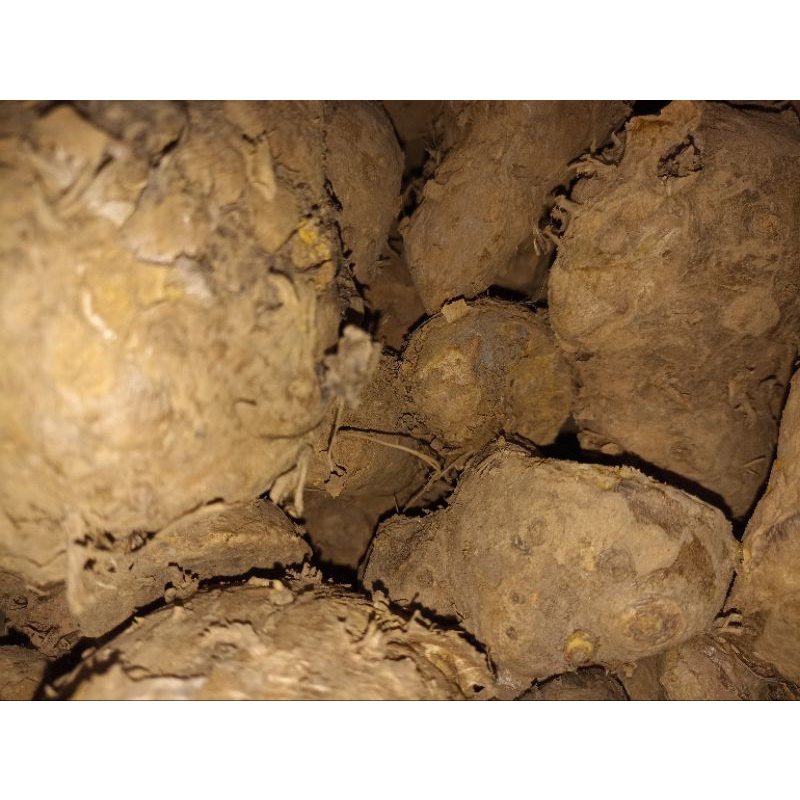 

Temulawak 1Kg