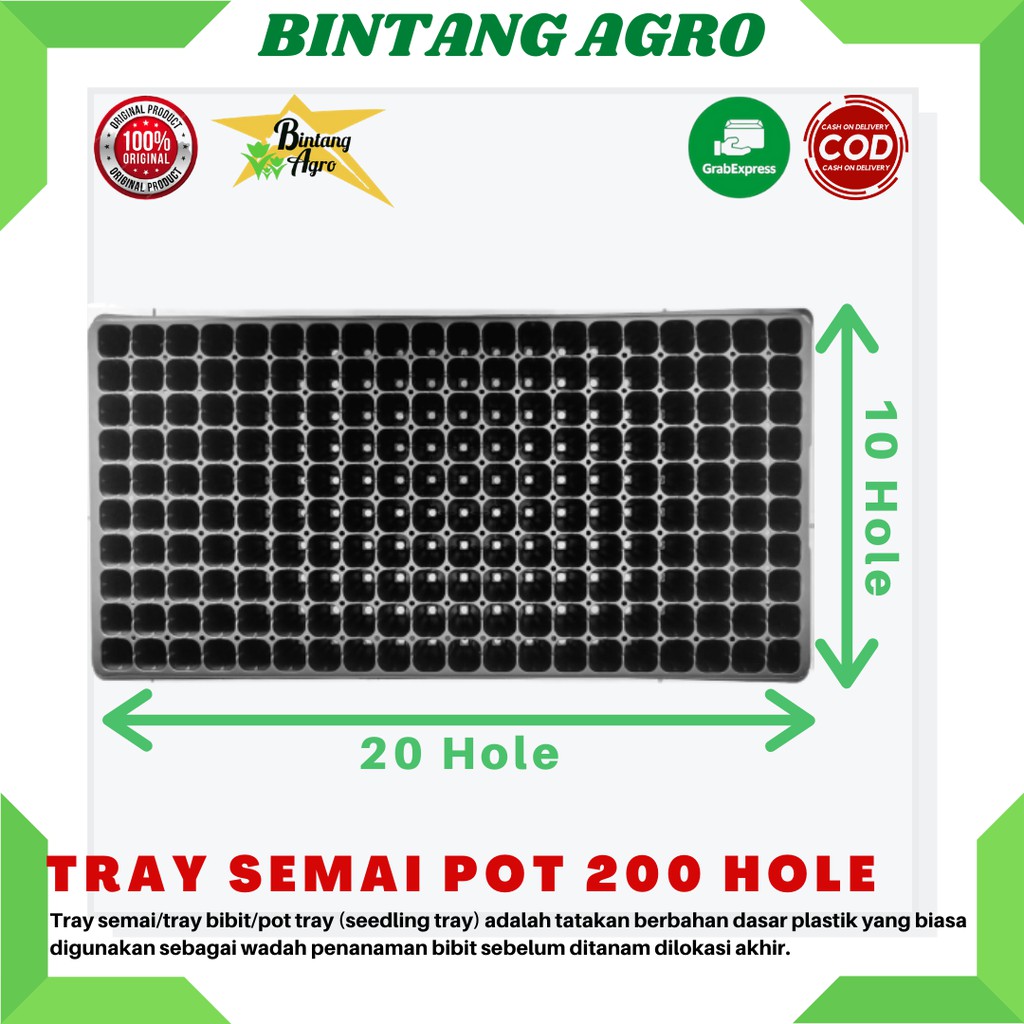 Tray Semai 200 Lubang Traypot Pot Bibit Tray Hidroponik –Tray Seedling Pot