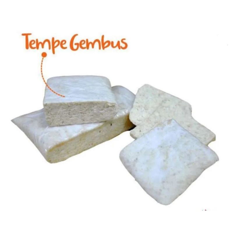 

Tempe Gembus Per 1 Pcs