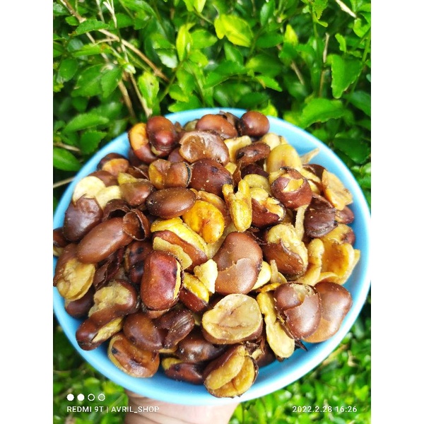 500gr koro kulit asin/koro kulit gurih/kacang koro