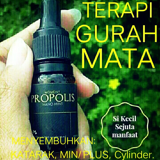 Moment propolis