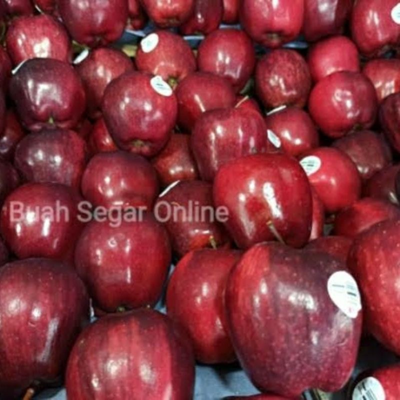 Apel Merah Usa