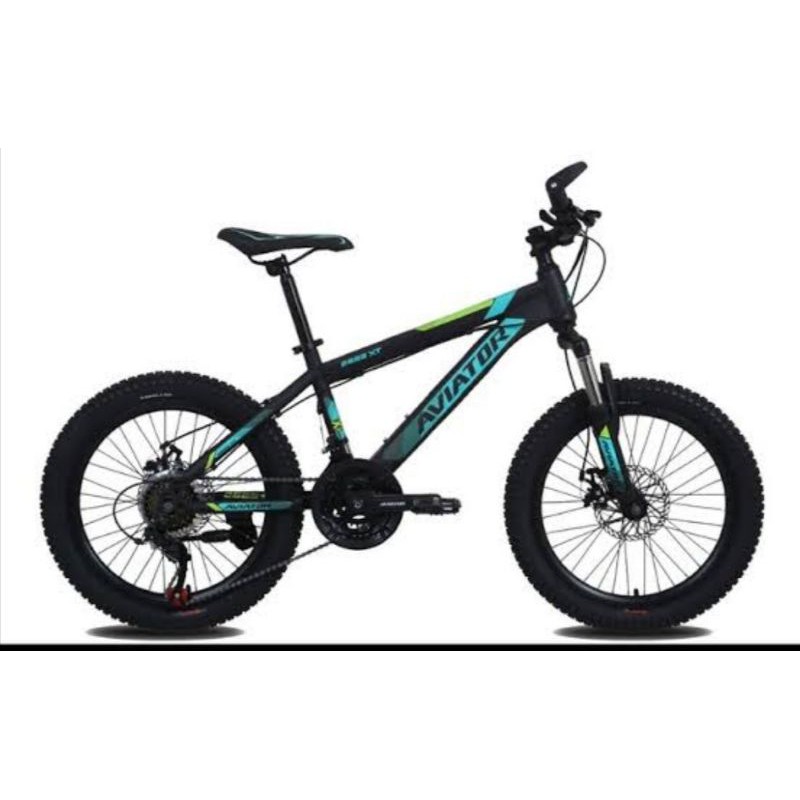 sepeda MTB 20 Aviator 2689 XT