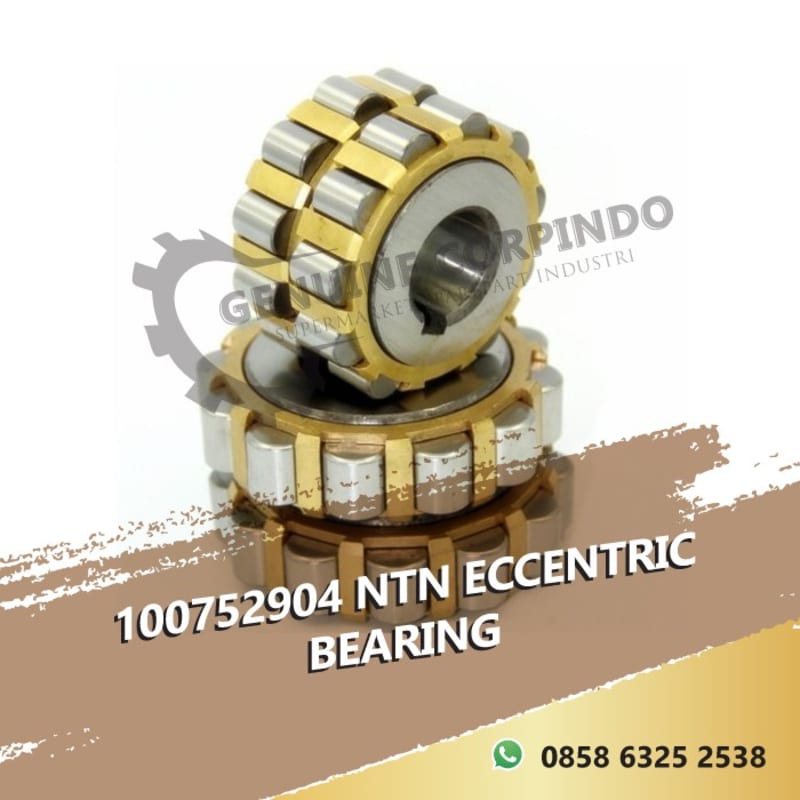 100752904 NTN ECCENTRIC BEARING