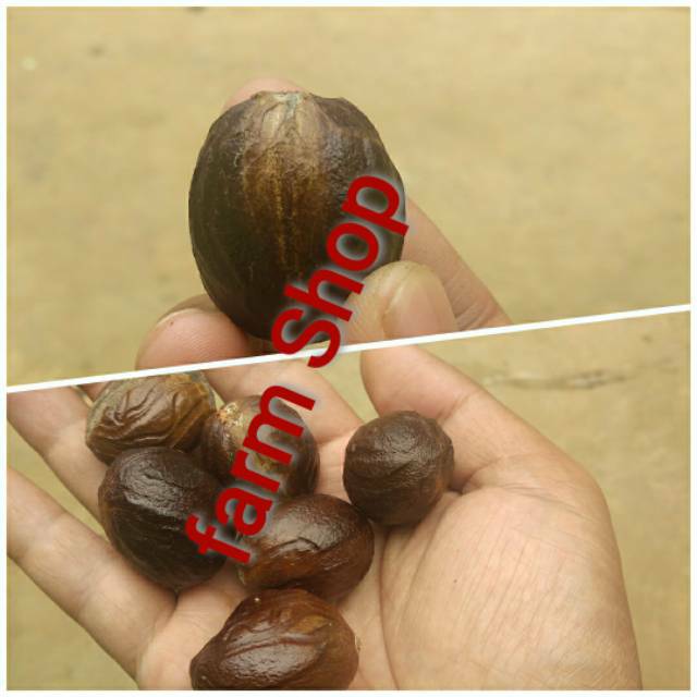 

biji PALA KERING 500 gram - herbal