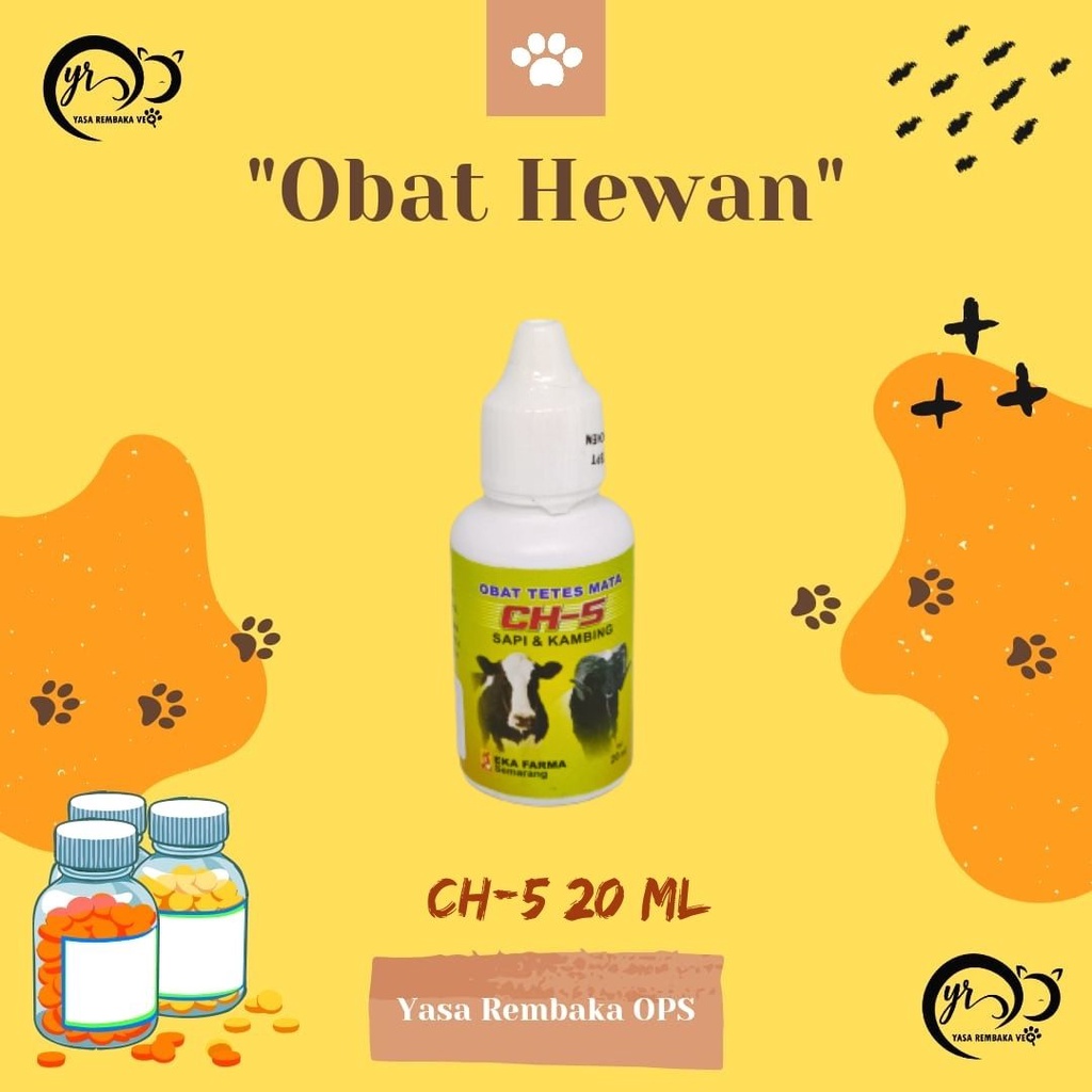 CH-5 20ml - Obat tetes mata ternak