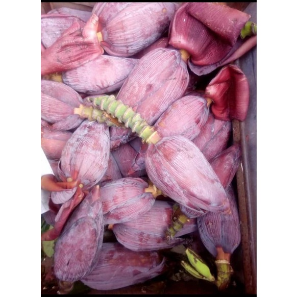 

Otong pisang 1 perbuah