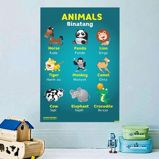 63+ Gambar Binatang Untuk Sd HD Terbaik