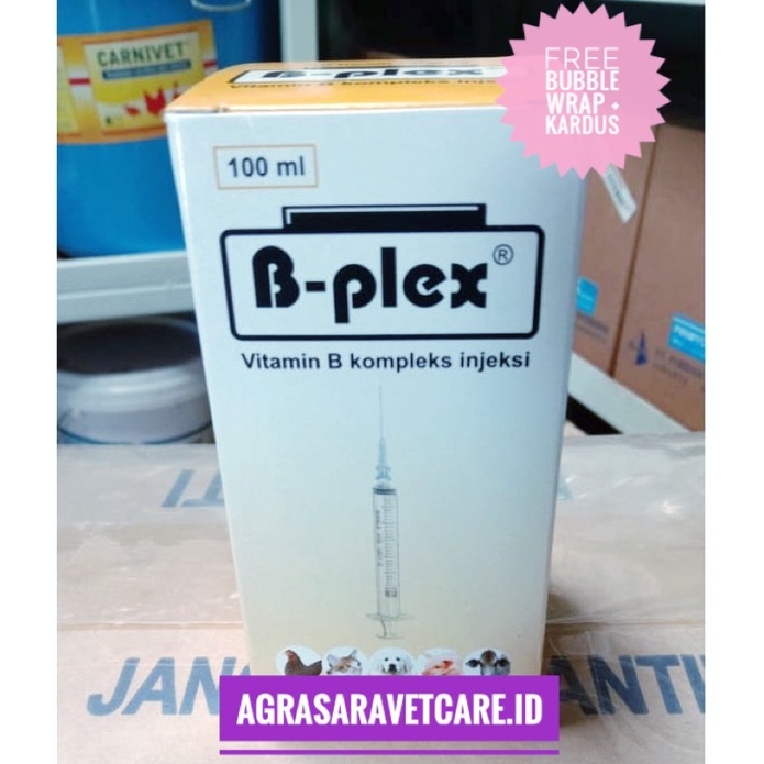 Jual B Plex 100 Ml Pyridam Vitamin B Kompleks Injeksi 100 Ml | Shopee ...