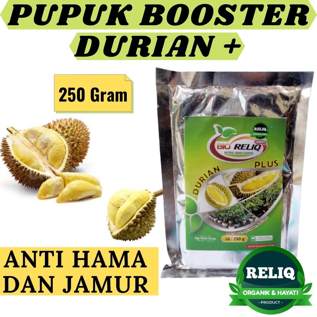 Boster Durian, Booster Durian Montong Super, Pupuk Booster Hayati Durian RELIQ