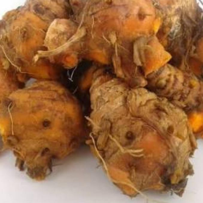 

Biang Kunyit Atau Pala Kunyit Segar 500 Gr