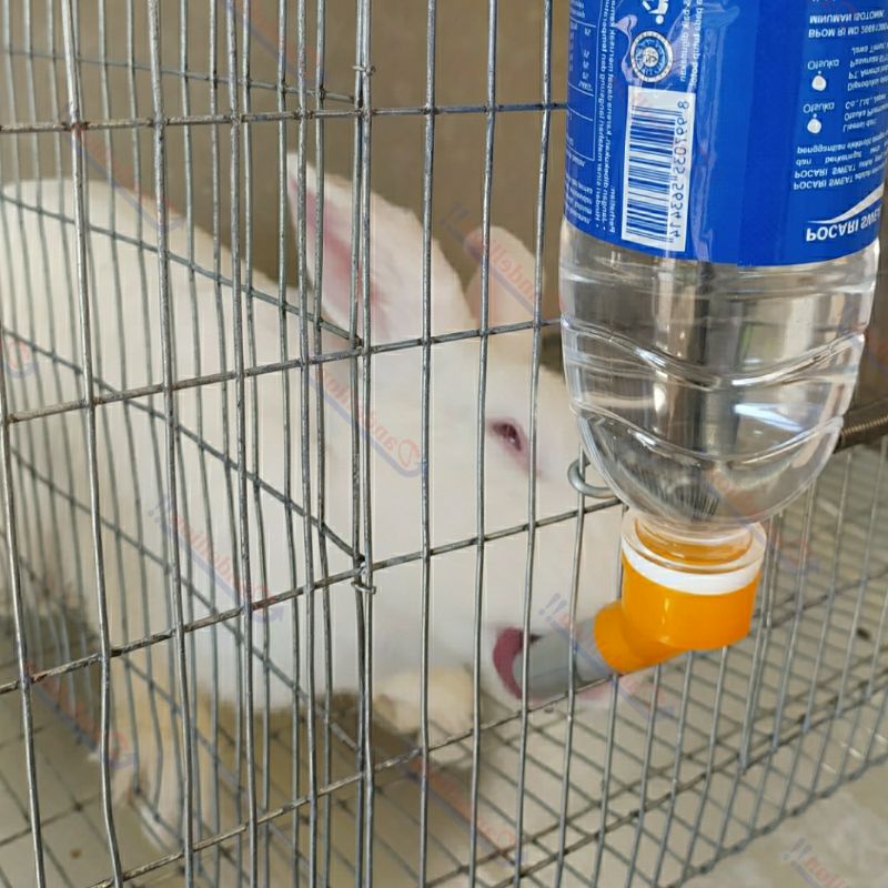 Nipple Kelereng Nipple dot Tempat Minum Kelinci, Kucing, Marmut, Hamster-2