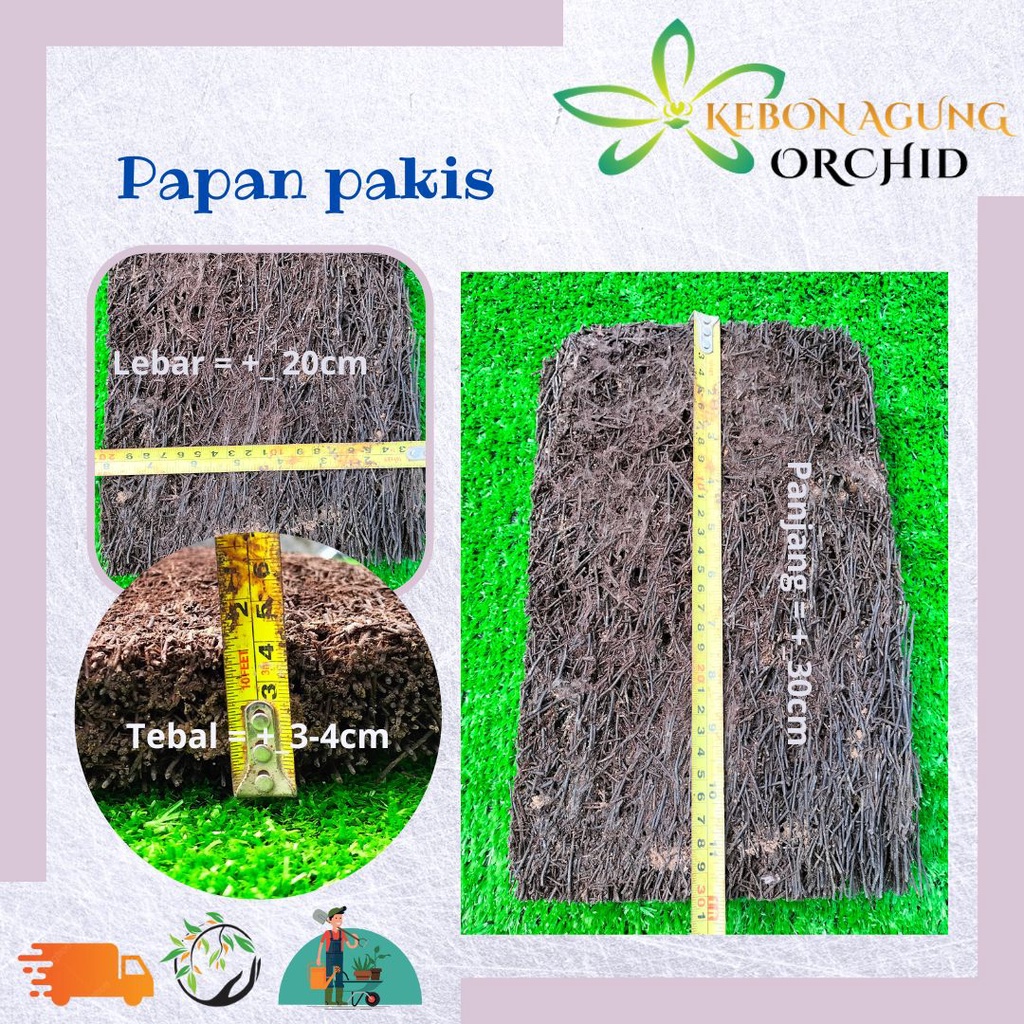 media tanam anggrek pakis papan/pakis kotak besar