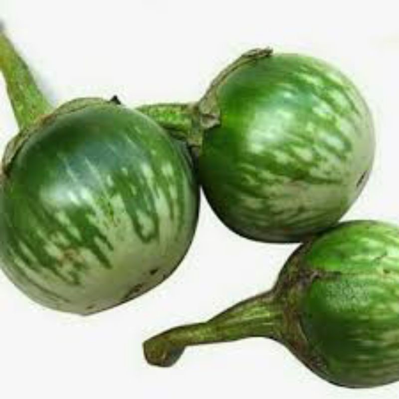 

terong bulat 250 gram