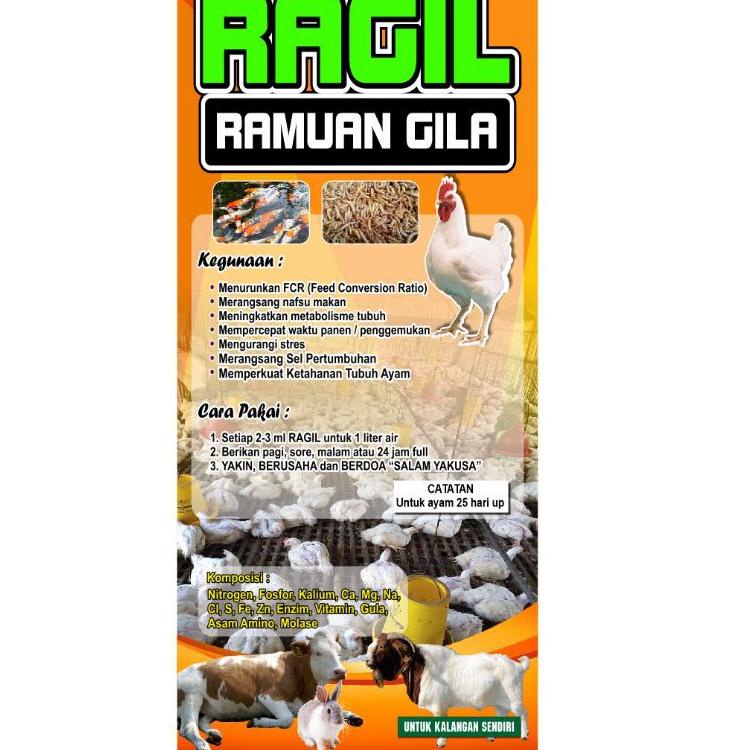 

Promo Menjelang Natal!! RAGIL (ramuan gila) 500-1000 ekor [ih -83]