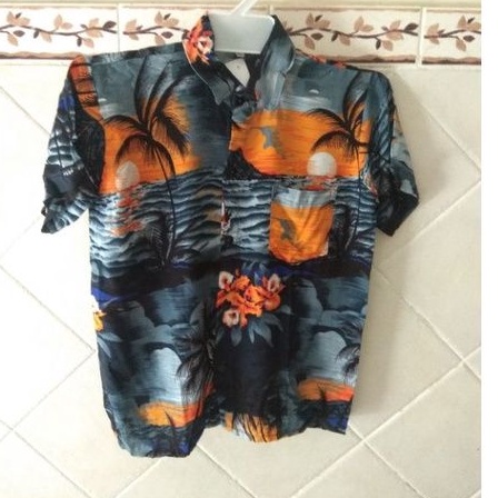 kemeja hawai motif pantai anak atasan