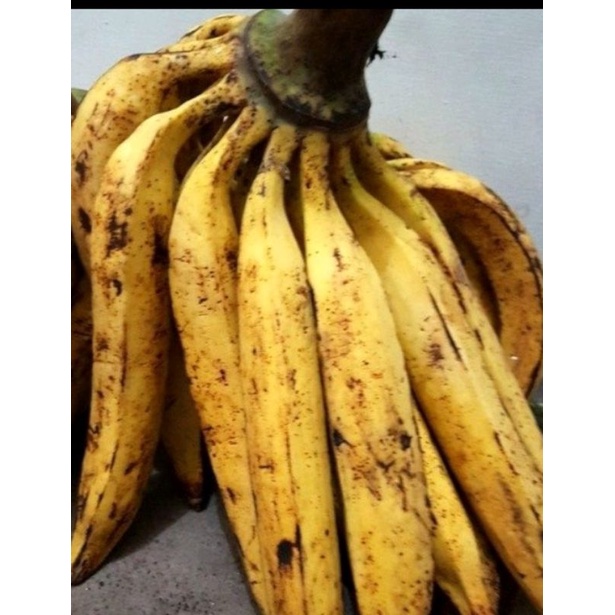 

Pisang Tanduk Perbiji/satuan