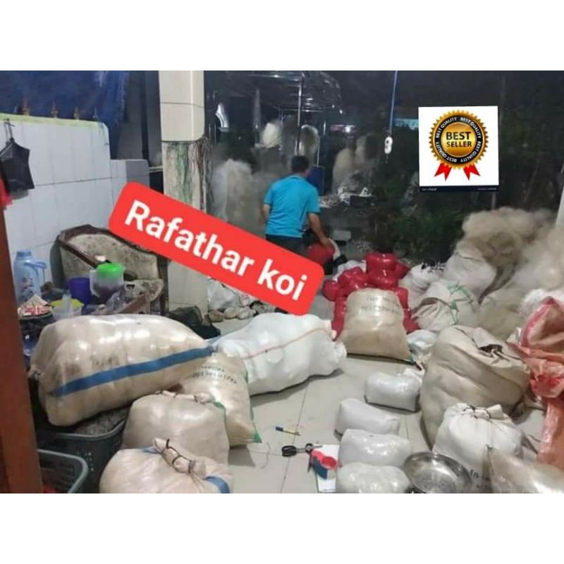 jaring nelayan untuk media filter kolam ikan koi ikan nila ikan arwana dan ikan hias lainnya paket 9