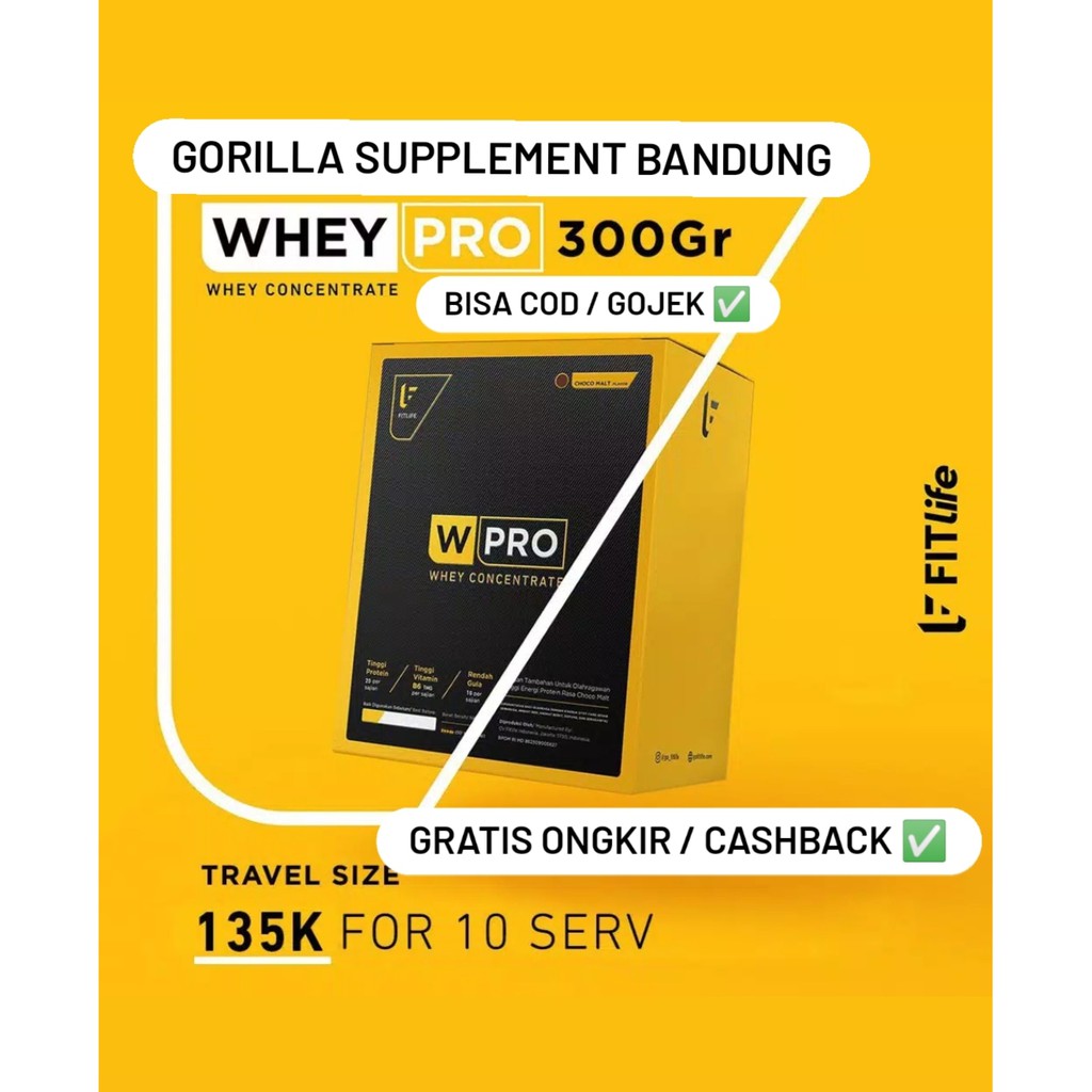 Fitlife Whey Protein 300 Gram Wpro W Pro Concentrate