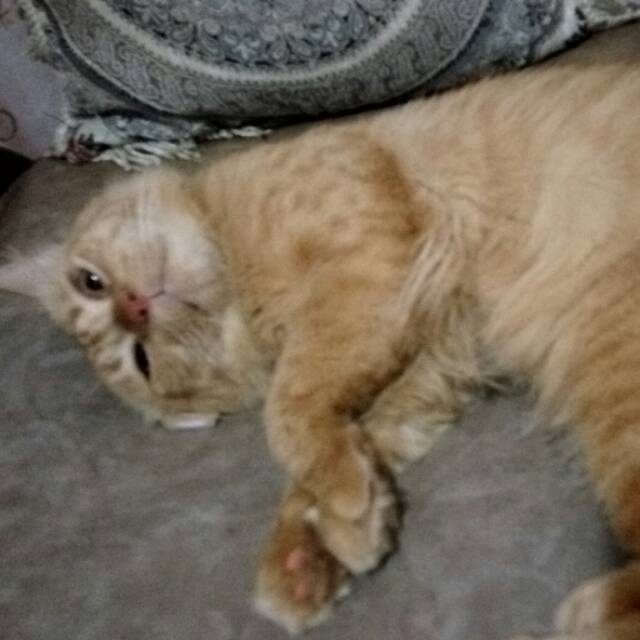 mirantisalim