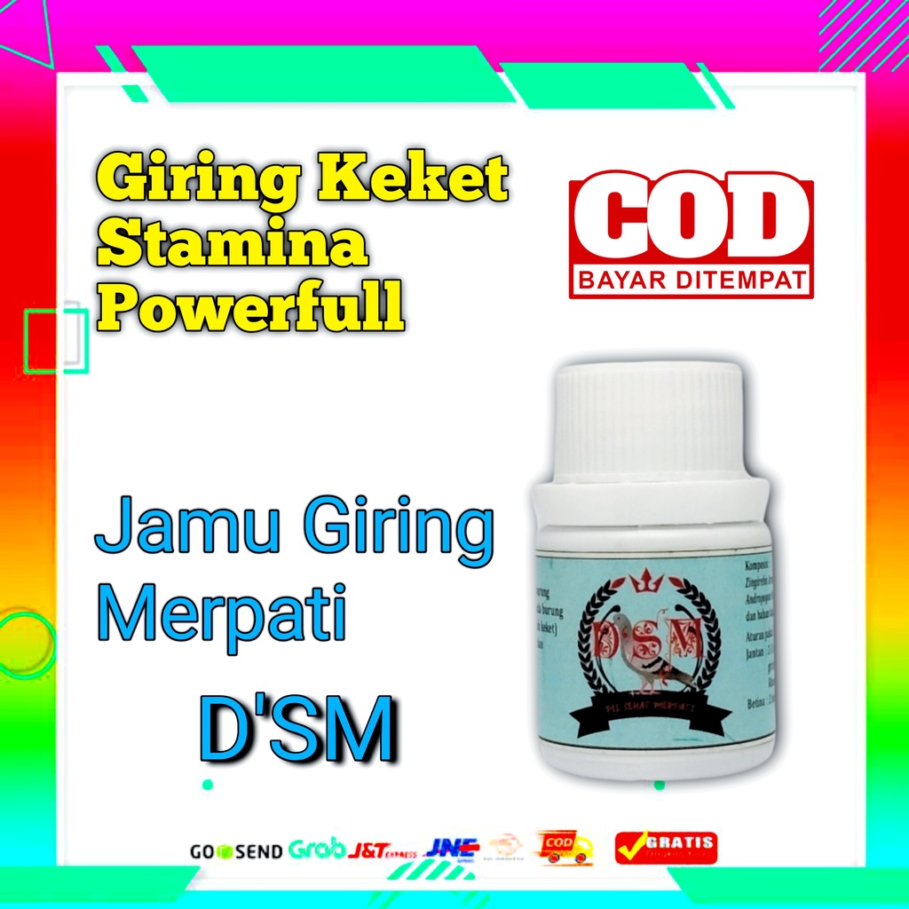 Jamu merpati kolong jamu merpati balap sehat merpati pil dsm merpati