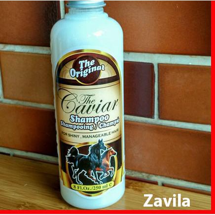 ➼ Shampo Kuda Caviar Penumbuh Rambut ➴