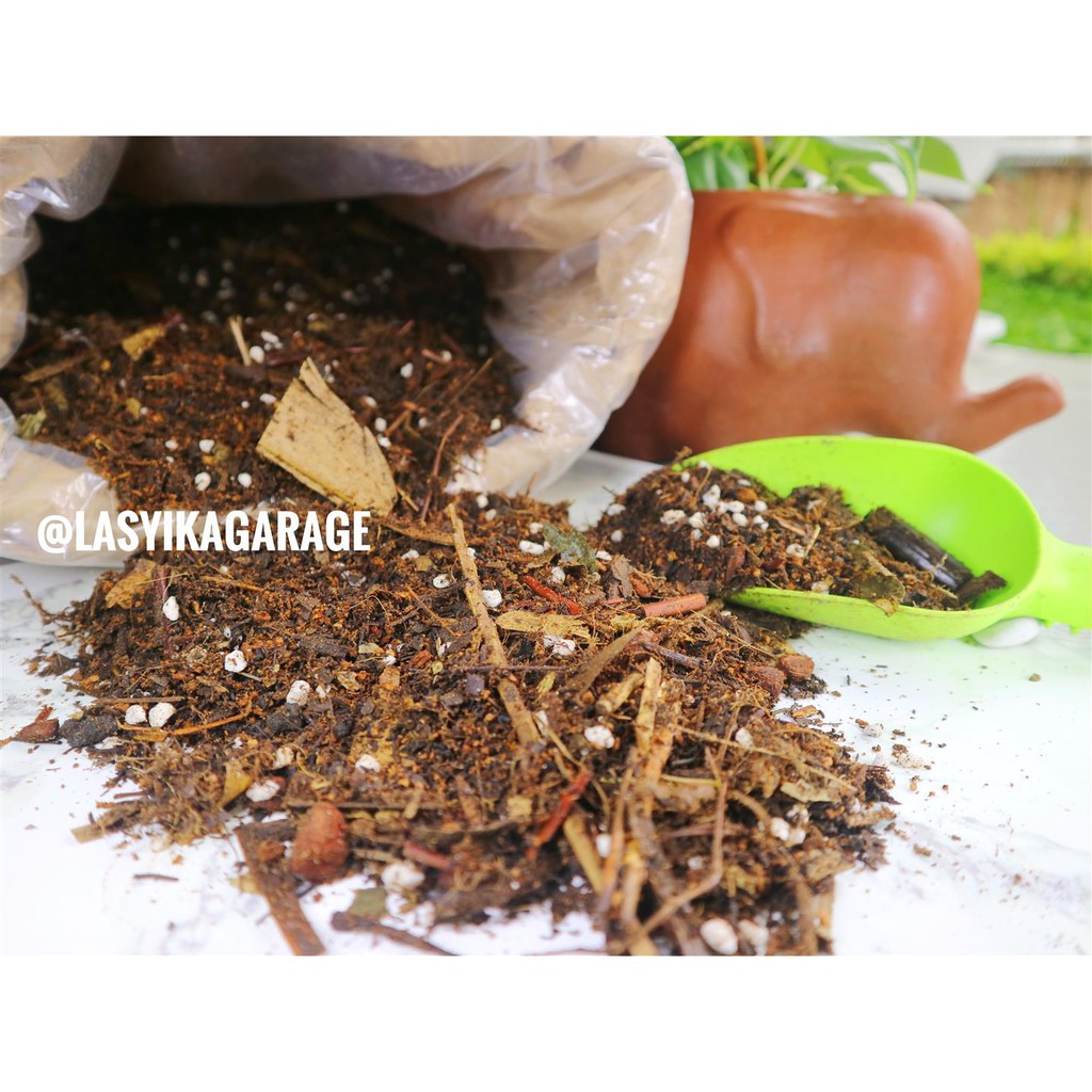 Metan Mantuy asoka *fufufu* repack 1 kg #nobrandplant media tanam