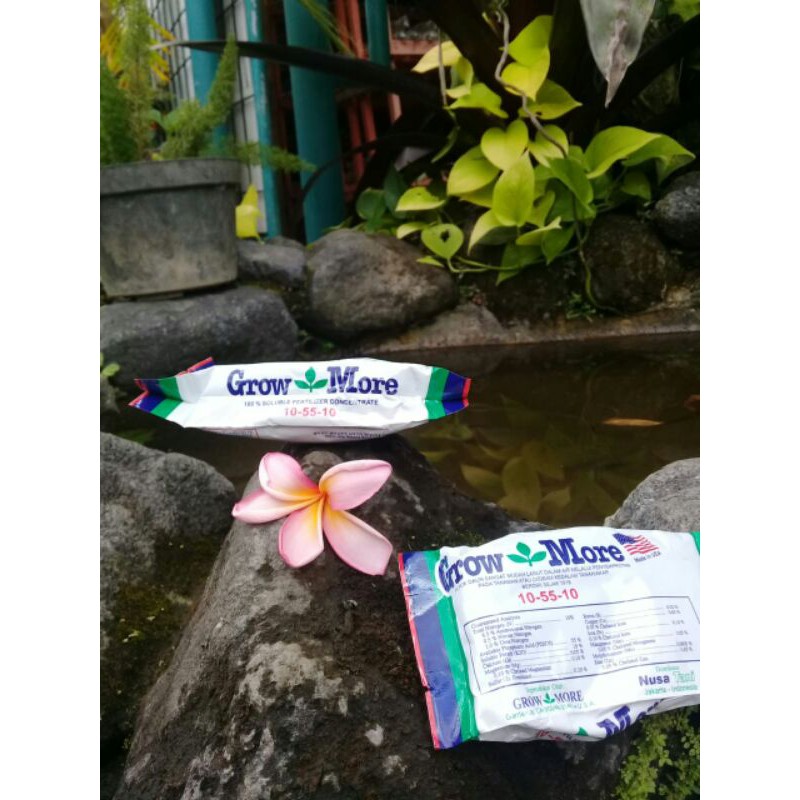 Pupuk growmore pembungaan