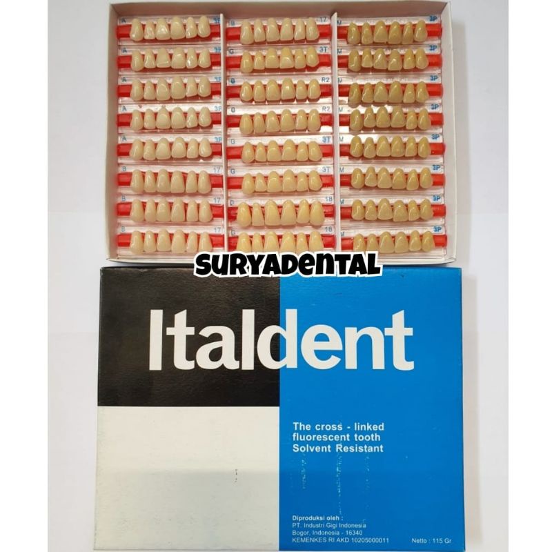 ITALDENT Gigi Depan ATAS / Upper Anterior / Gigi Palsu