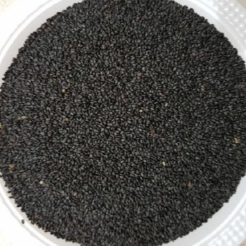 

Biji Selasih / Basil Seed 1 Kg