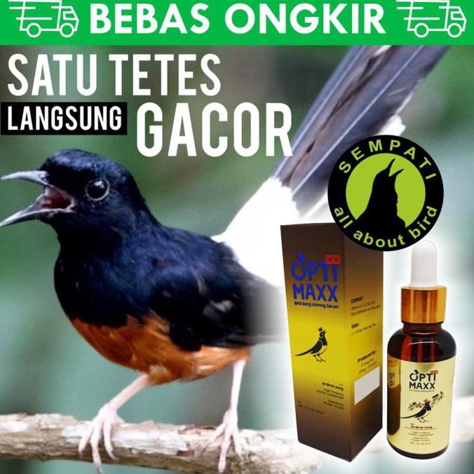 Paling Dicari] Optimaxx Serum Penggacor Vitamin Burung Murai Lomba Suara Kristal Opsr