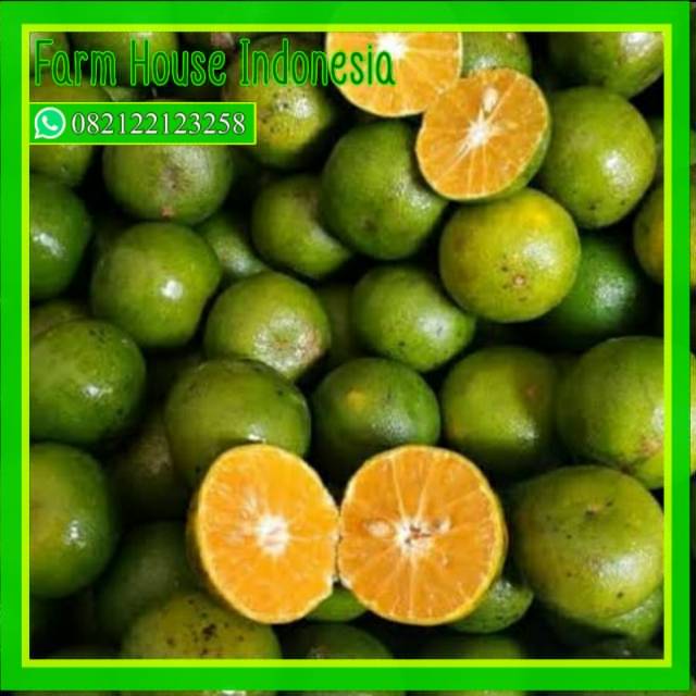 

SayurHD Jeruk peras lokal 500 gram