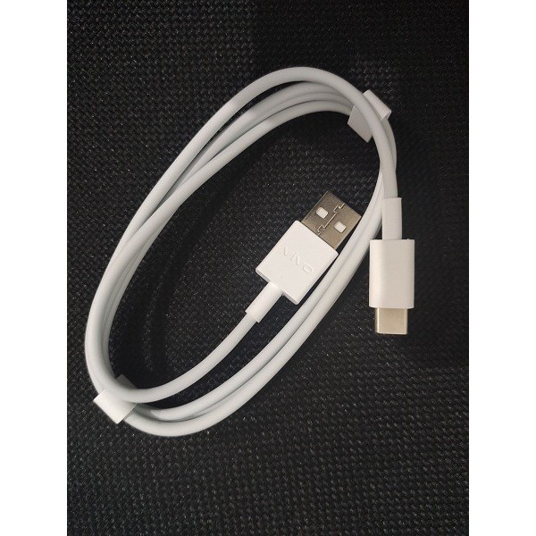 Charger VIVO 10V Fast Charging + Type-C Cable Original