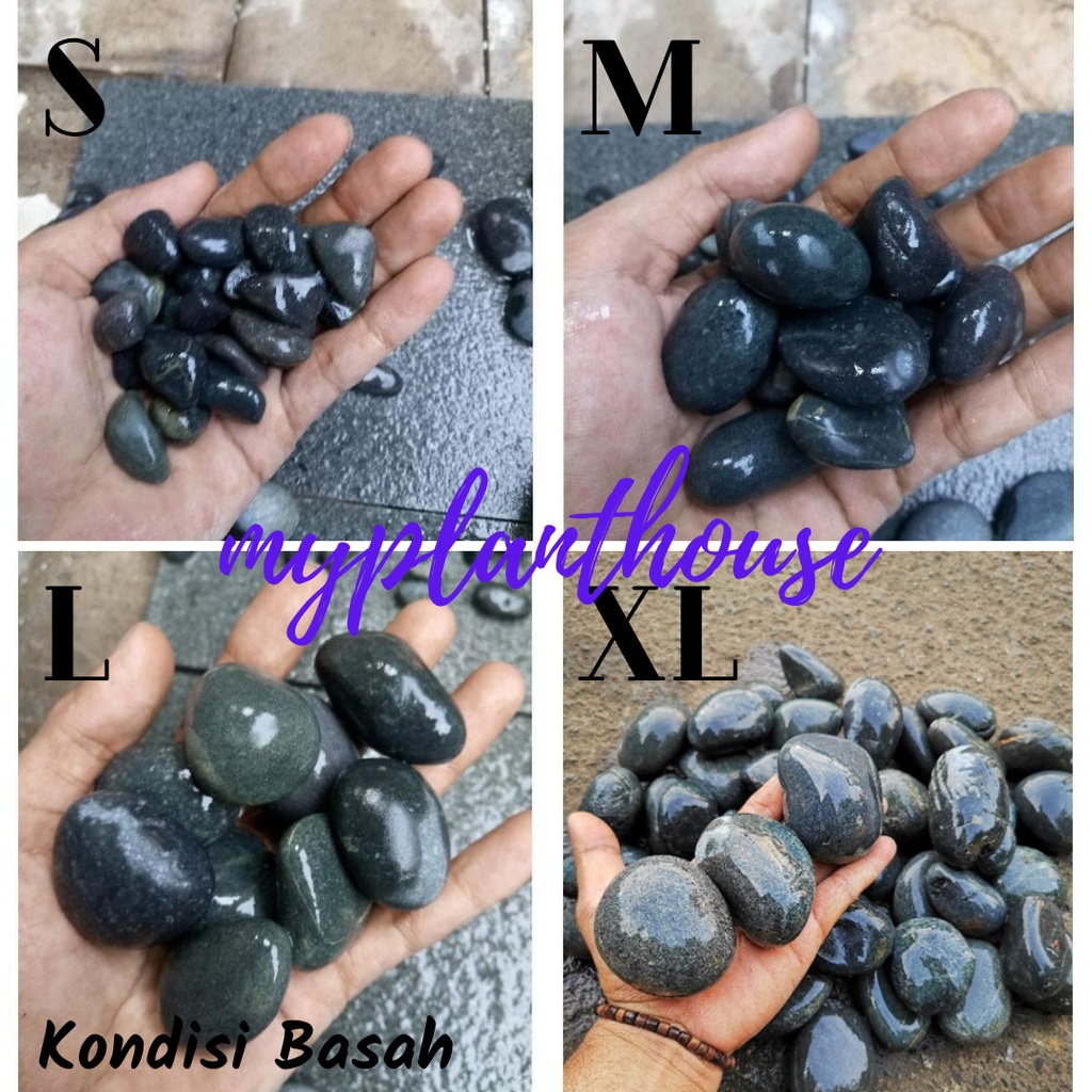 BATU KORAL HITAM BENGKULU ( 1 Kg )