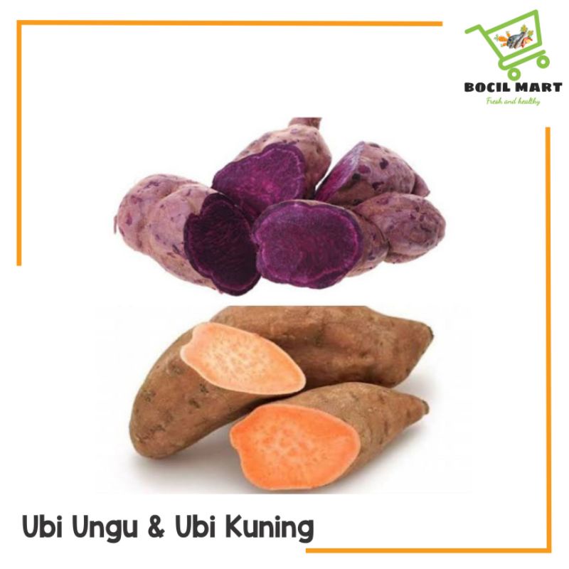 

[BOCIL MART] UBI MADU / UBI UNGU / UBI KUNING
