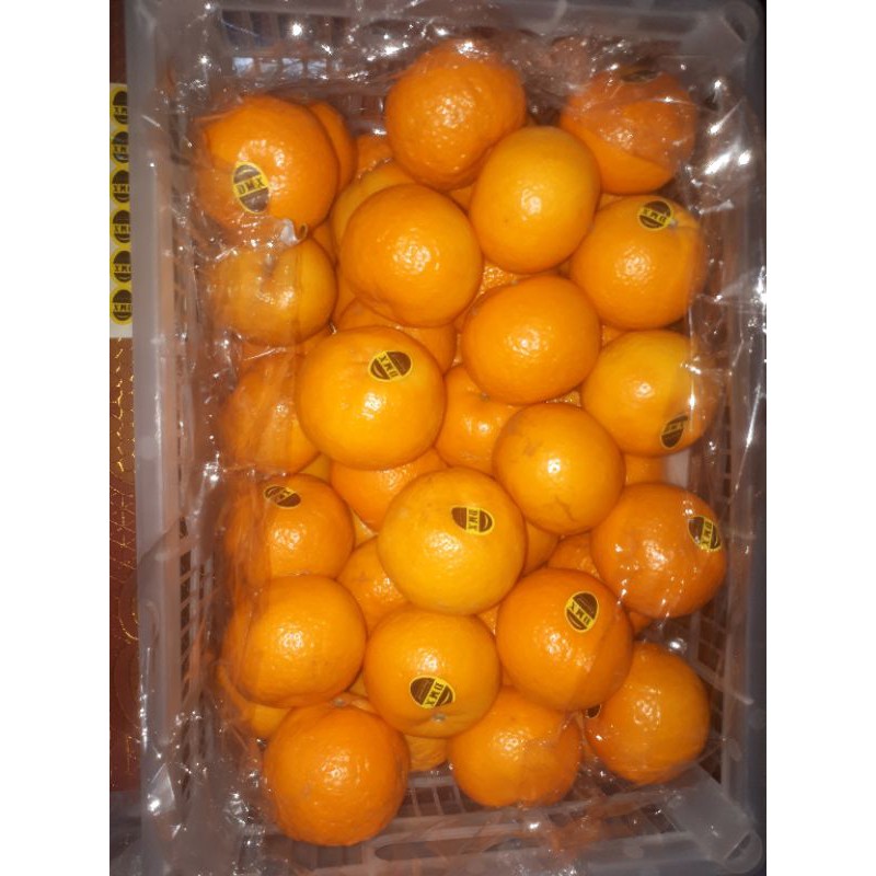 

Jeruk Wokam Original