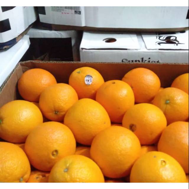 

Jeruk navel oranges