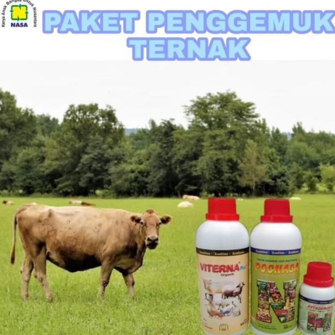 paket vitamin obat penggemuk hewan ternak sapi kambing domba kerbau