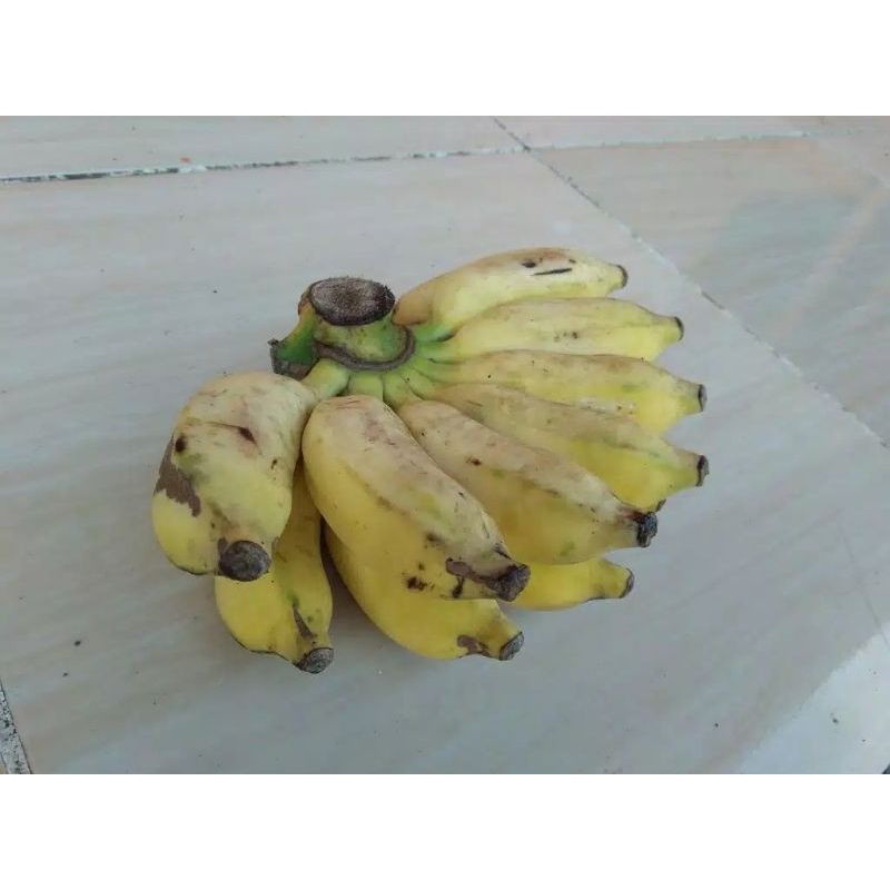 

pisang siem siam awak