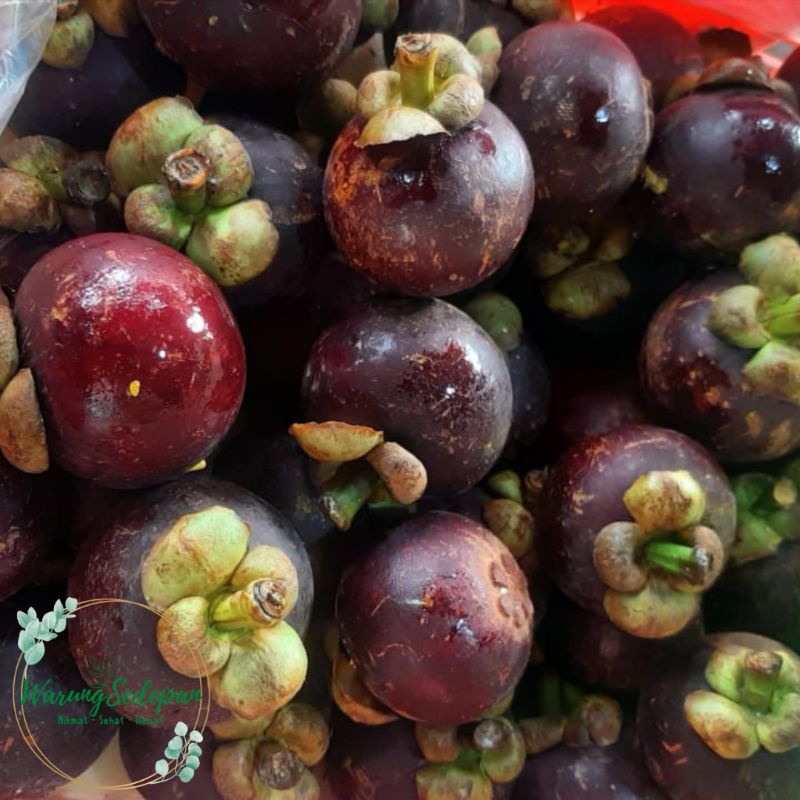 

Manggis Super Segar 1kg Buah Segar Bekasi Buah Murah