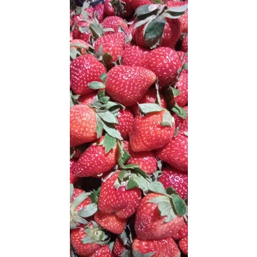

strawberry
